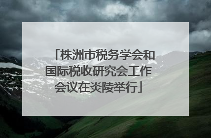 株洲市税务学会和国际税收研究会工作会议在炎陵举行