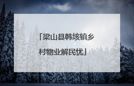 梁山县韩垓镇乡村物业解民忧