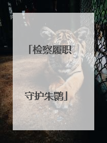 检察履职 守护朱鹮