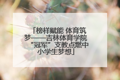 榜样赋能 体育筑梦——吉林体育学院“冠军”支教点燃中小学生梦想