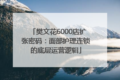 樊文花6000店扩张密码：面部护理连锁的底层运营逻辑