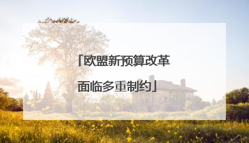 欧盟新预算改革面临多重制约
