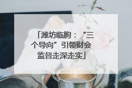 潍坊临朐：“三个导向”引领财会监督走深走实
