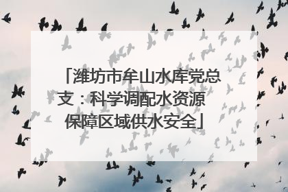 潍坊市牟山水库党总支：科学调配水资源 保障区域供水安全
