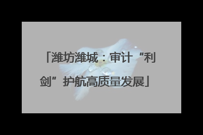 潍坊潍城：审计“利剑”护航高质量发展
