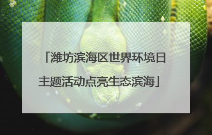 潍坊滨海区世界环境日主题活动点亮生态滨海