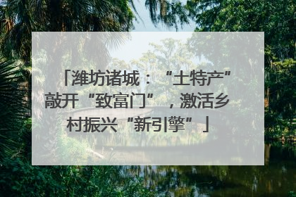 潍坊诸城：“土特产”敲开“致富门”，激活乡村振兴“新引擎”