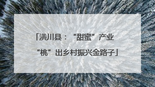 潢川县：“甜蜜”产业  “桃”出乡村振兴金路子