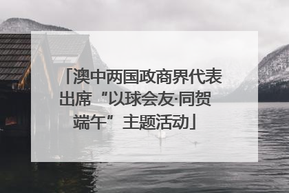 澳中两国政商界代表出席“以球会友·同贺端午”主题活动