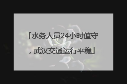 水务人员24小时值守，武汉交通运行平稳