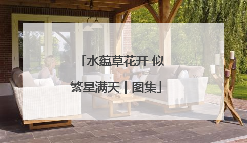 水蕴草花开 似繁星满天｜图集