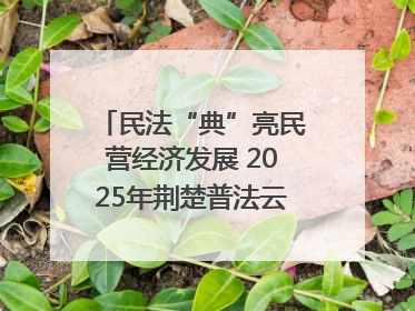 民法“典”亮民营经济发展 2025年荆楚普法云课堂第二期在武汉客厅开讲