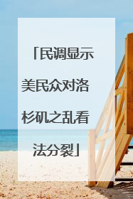 民调显示美民众对洛杉矶之乱看法分裂