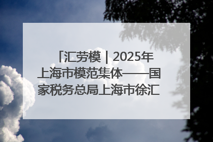 汇劳模｜2025年上海市模范集体——国家税务总局上海市徐汇区税务局第一税务所