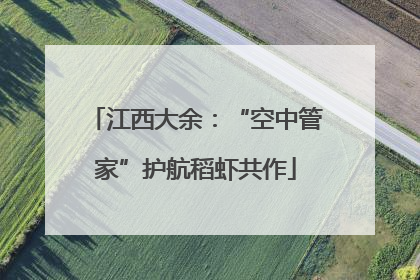 江西大余：“空中管家”护航稻虾共作