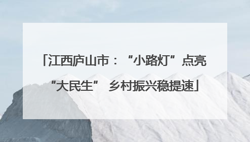 江西庐山市：“小路灯”点亮“大民生” 乡村振兴稳提速