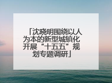 沈晓明围绕以人为本的新型城镇化开展“十五五”规划专题调研