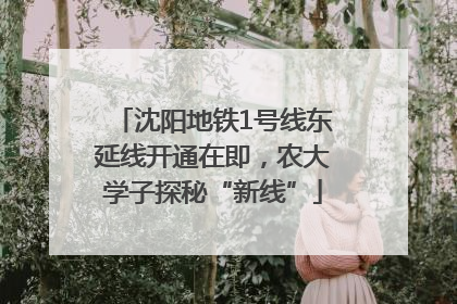 沈阳地铁1号线东延线开通在即，农大学子探秘“新线”