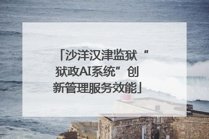 沙洋汉津监狱“狱政AI系统”创新管理服务效能