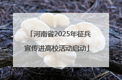 河南省2025年征兵宣传进高校活动启动