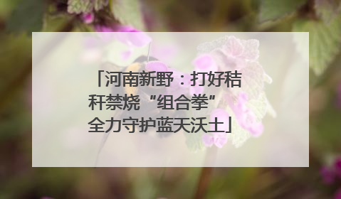 河南新野：打好秸秆禁烧“组合拳” 全力守护蓝天沃土
