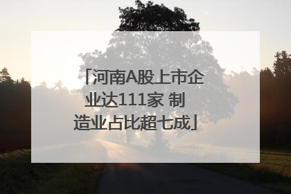 河南A股上市企业达111家 制造业占比超七成