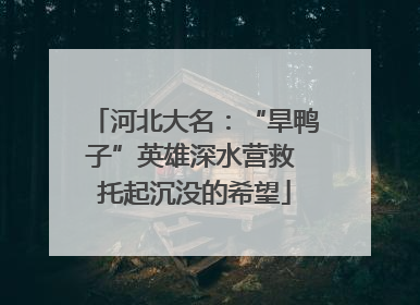 河北大名：“旱鸭子”英雄深水营救 托起沉没的希望