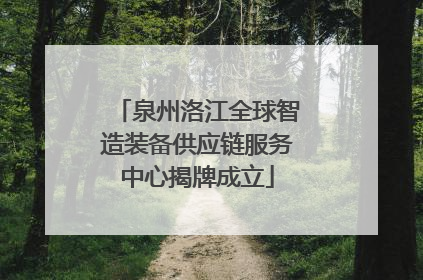 泉州洛江全球智造装备供应链服务中心揭牌成立
