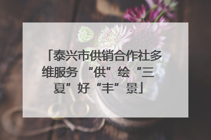 泰兴市供销合作社多维服务 “供”绘“三夏”好“丰”景