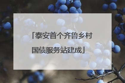 泰安首个齐鲁乡村国债服务站建成