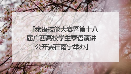 泰语技能大赛暨第十八届广西高校学生泰语演讲公开赛在南宁举办