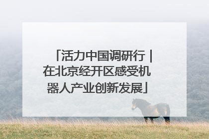 活力中国调研行｜在北京经开区感受机器人产业创新发展