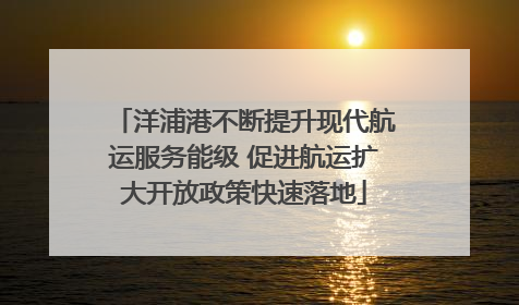 洋浦港不断提升现代航运服务能级 促进航运扩大开放政策快速落地