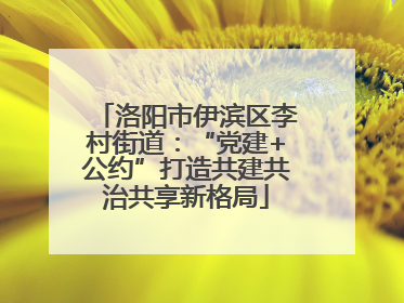 洛阳市伊滨区李村街道：“党建+公约”打造共建共治共享新格局