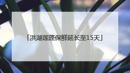 洪湖莲蓬保鲜延长至15天