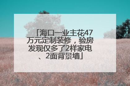 海口一业主花47万元定制装修，验房发现仅多了2样家电、2面背景墙