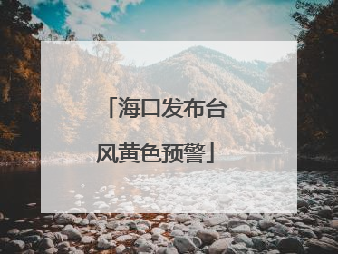 海口发布台风黄色预警