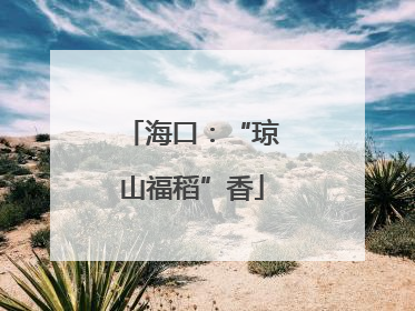 海口：“琼山福稻”香