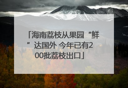 海南荔枝从果园“鲜”达国外 今年已有200批荔枝出口