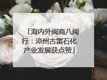 海内外闽商八闽行：漳州古雷石化产业发展获点赞