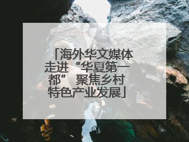 海外华文媒体走进“华夏第一都” 聚焦乡村特色产业发展