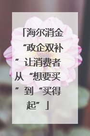海尔消金“政企双补”让消费者从“想要买”到“买得起”
