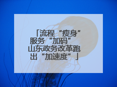 流程“瘦身”服务“加码” 山东政务改革跑出“加速度”