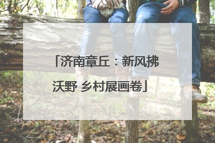 济南章丘：新风拂沃野 乡村展画卷
