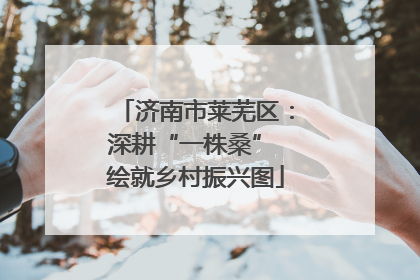 济南市莱芜区：深耕“一株桑” 绘就乡村振兴图