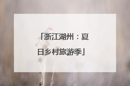 浙江湖州：夏日乡村旅游季