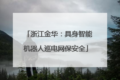 浙江金华：具身智能机器人巡电网保安全