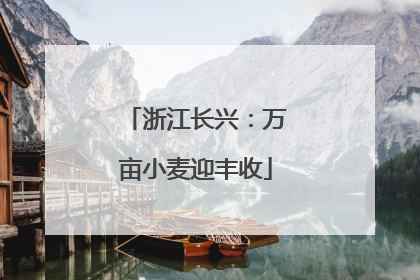 浙江长兴：万亩小麦迎丰收