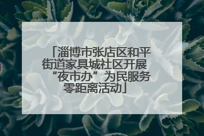 淄博市张店区和平街道家具城社区开展“夜市办”为民服务零距离活动