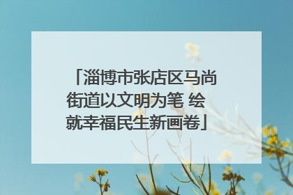 淄博市张店区马尚街道以文明为笔 绘就幸福民生新画卷